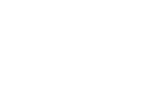 odichi-googleads-partner-verified